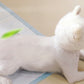 1 Bag Super Absorbent Pet Diaper Dog Training Pee Pads Disposable