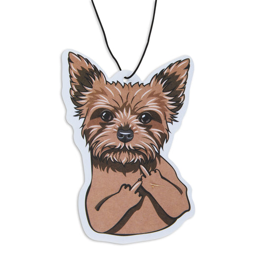 Yorkie with an Attitude