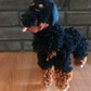 12” Large Rottweiler Dog 4-legged puppet marionette