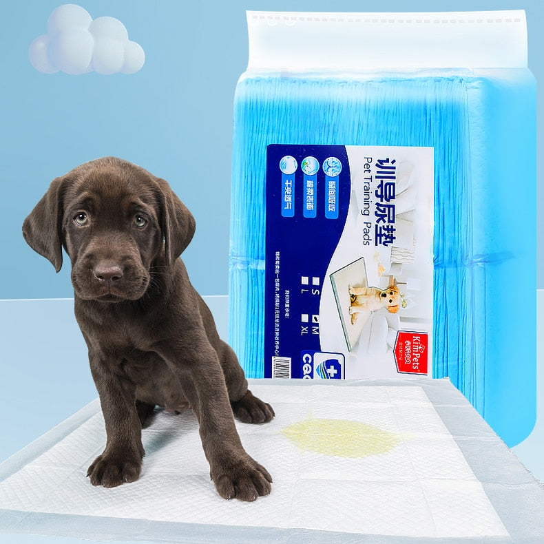 All Day Premium Dog Training Pee Pads 6-layer Ultra Absorbent Diaper