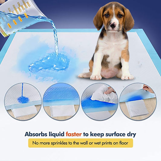 Hoopet Pet Training Pads Super Absorbent Diaper For Dogs Dog And Puppy