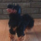 12” Large Rottweiler Dog 4-legged puppet marionette