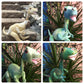 16" T- Rex dinosaur puppet marionette